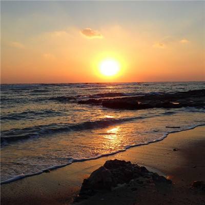 购彩中心下载手机版