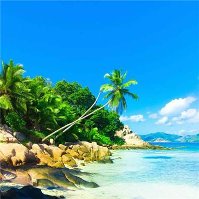 免费竞彩足球推荐app