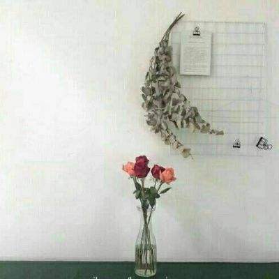 全球十大正规网赌网址